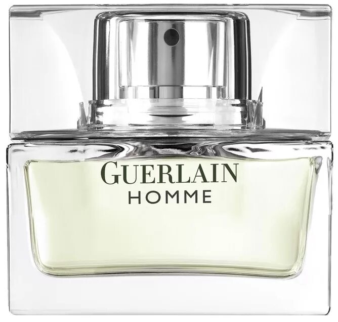 Guerlain homme купить. Туалетная вода Guerlain Guerlain homme. Герлен хом мужские 2008 года. Герлен хоум мужской. Герлен Пур хом мужской.