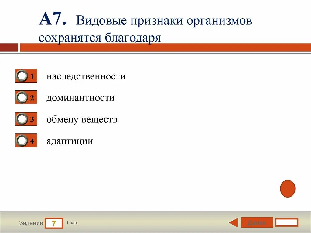 Видовые признаки. Видовые признаки чемпионата.