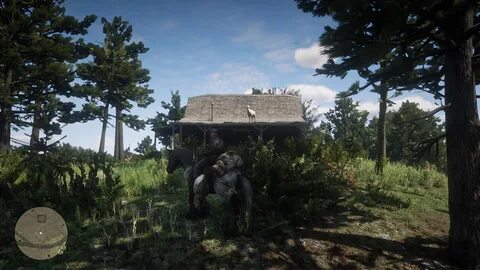 Rdr2 кому продать шкуру