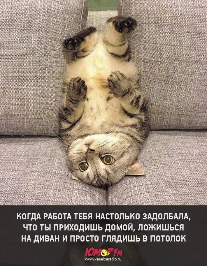 Правда правда истина. Взгляд под другим углом. Прикольные совы. Мир демотиватор. Видеть под другим углом.