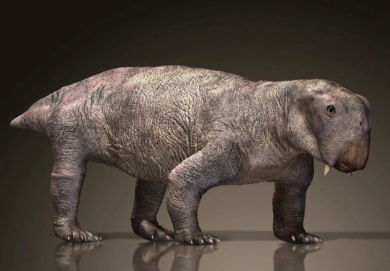 Листрозавр георга. Листозавр. Листрозавр триасового периода. Листрозавр динозавр триасового периода. Листрозавр.