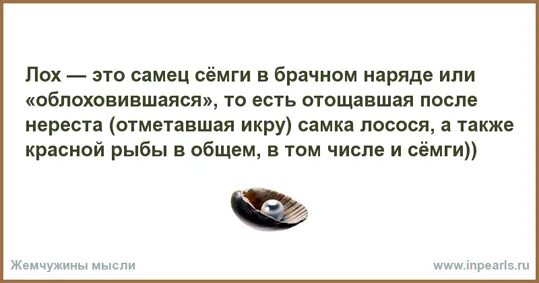 Как расшифровывается лох. Лох это значение. слово лох. расшифровка слова лох. происхождение слова лох.