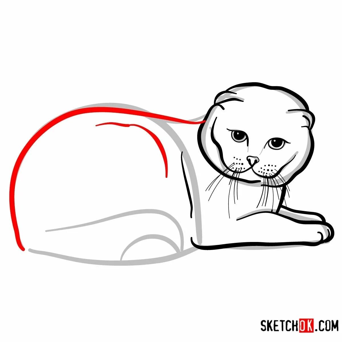 Как нарисовать катнапа. Шотландская вислоухая кошка. Шотландская вислоухая кошка анатомия. Раскраска Шотландская вислоухая кошка. Вислоухая кошка карандашом.