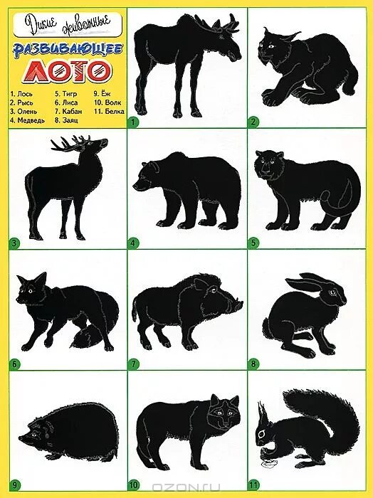 Тени диких животных для детей. Теневое лото Дикие животные леса. Теневое лото Дикие животные. Теневое лото для детей Дикие животные. Теневое лото Лесные животные
