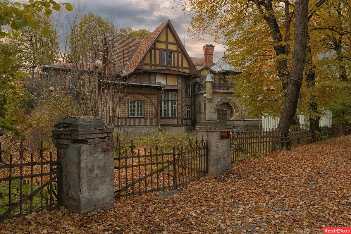 Дача Гаусвальд на Каменном острове. Каменный остров в Санкт-Петербурге. Особняк Евгении Карловны Гаусвальд на Каменном острове, с-ПБ.. Каменный остров СПБ. Каменный остров дома