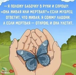 Притча о бабочке