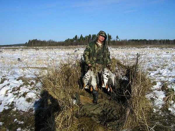 охота сколько