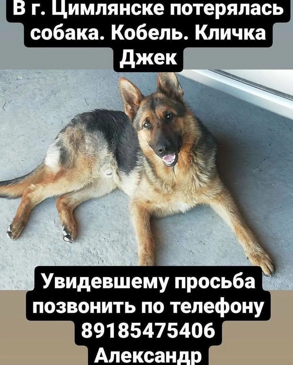 группа делай добро волгодонск