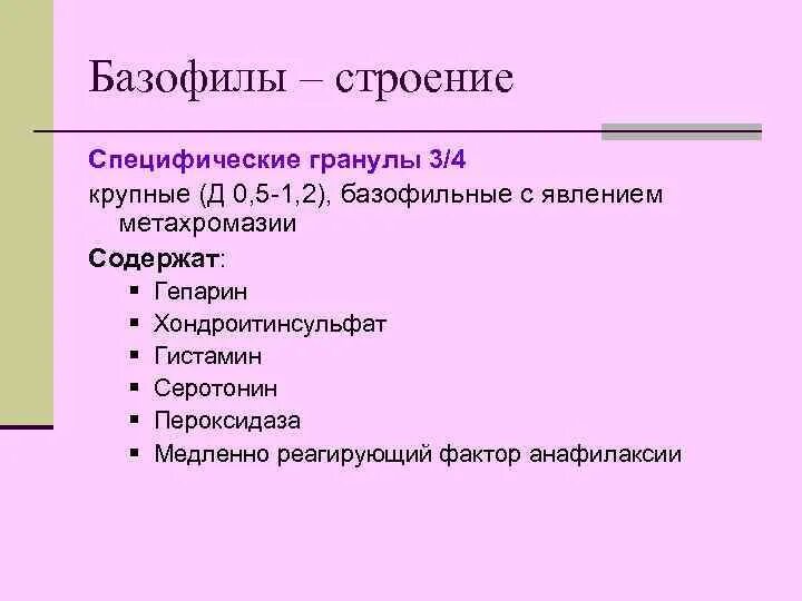 Гистамин и гепарин. Функции гранул базофилов. Специфические гранулы базофилов содержат. Базофилы строение. Базофилы гистология строение.