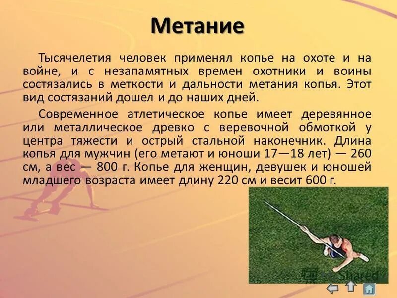 Реферат на тему метание по физкультуре. Метание копья сообщение по физкультуре. метание копья кратко. сообщение на тему метание. метание копья физкультура.