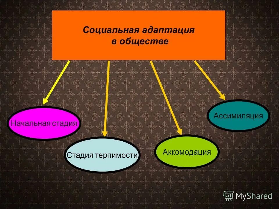 Адаптация в обществе это. Адаптация в социуме. социальная адаптация в обществе. адаптированность в обществе. стадии социальной адаптации.