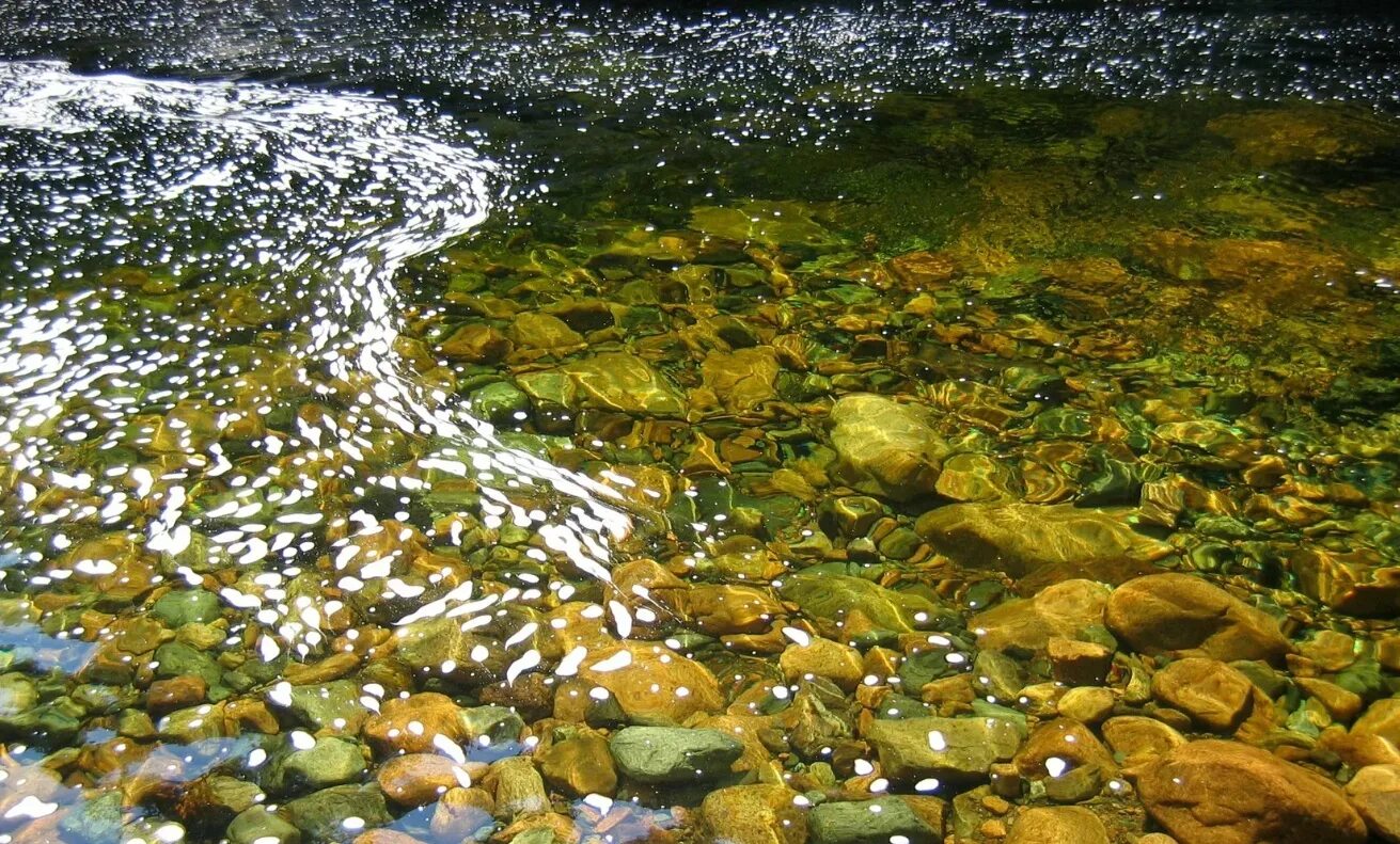 Ручей прозрачная вода. А по камушкам речка. Круги на воде от камня. Речка каширка камни. Пруд с прозрачной водой.