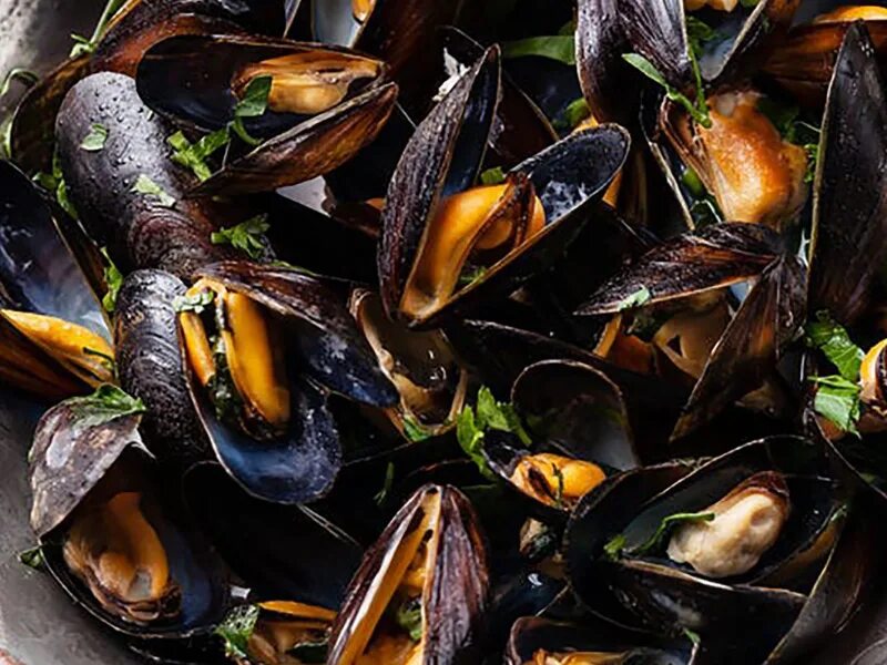 Морепродукты креветки мидии. Мидии в соусе маринара. Мидии песни. Мидия моллюск. Мидии песни.