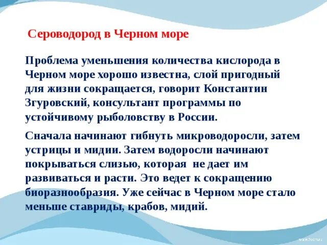 Решение проблем черного моря. Проблемы черного моря кратко. экономические проблемы черного моря. экологические проблемы черного моря. проблемы черного моря 4 класс.