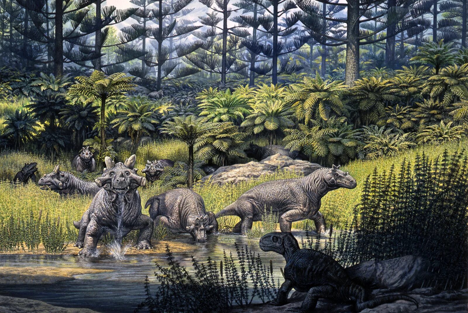 Пермский период палеозойской эры. Эриоты пермский период. Пермский период геологические процессы. Пермский период животный мир таблица. Начало пермского периода.