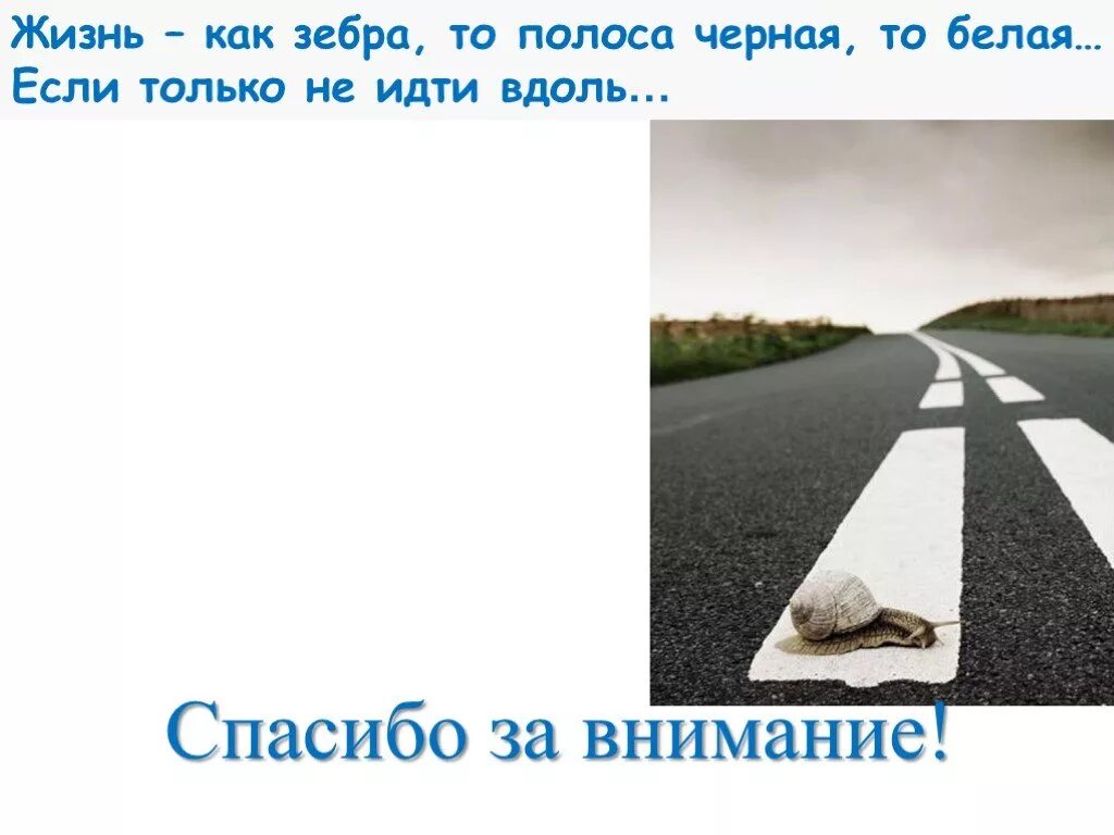 Черная полоса в жизни не заканчивается. Черно белая полоса в жизни. Белая полоса в жизни. Цитаты про полосы. Жизнь полоса белая полоса черная.