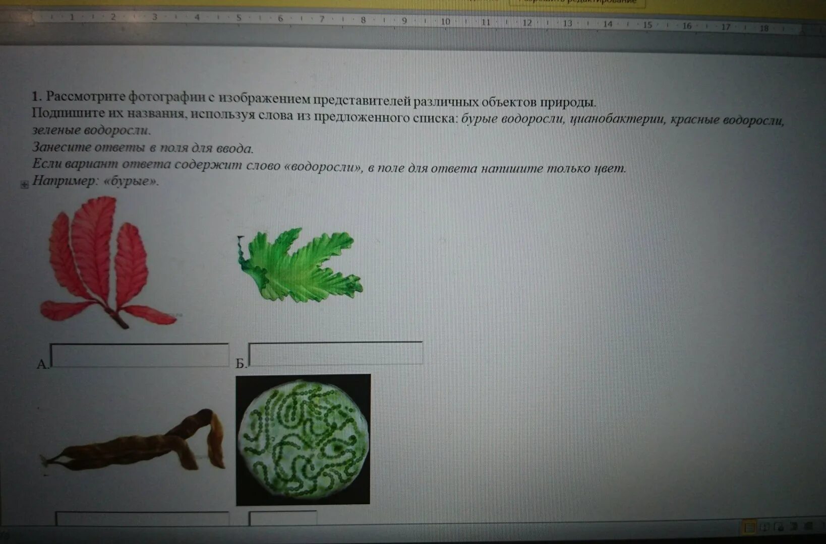 Подпишите названия используя предложенные слова