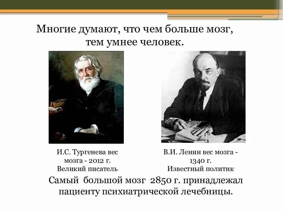 Мозги тургенева