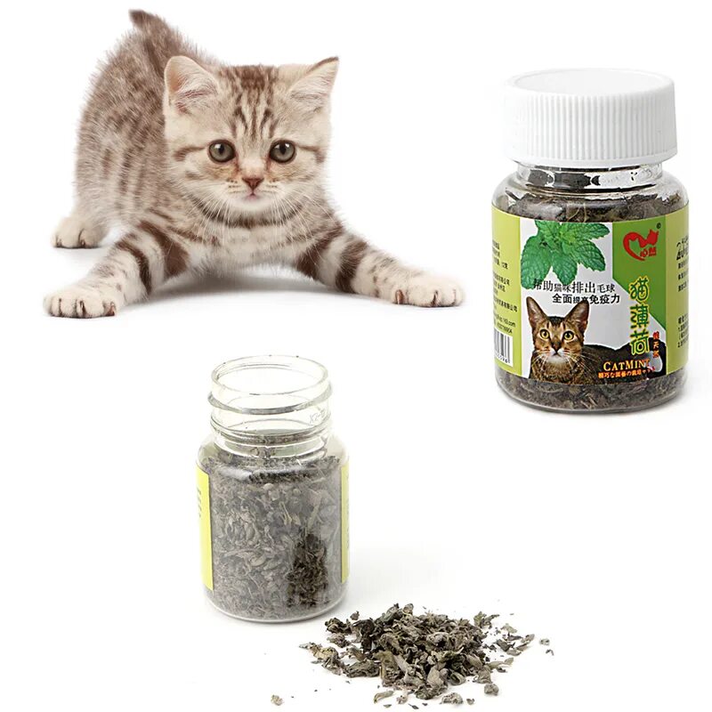 Мята для кошек купить. Catnip Кошачья мята. Кошачья мята 10гр PETSIKI. Кошачья мята сухая. Кошачья мята в пакетиках.