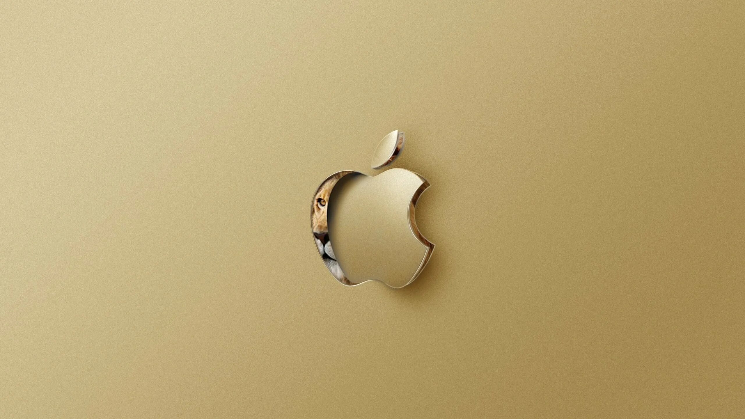Яблоко эпл. Фон для iphone. Обои Apple. Яблоко айфон