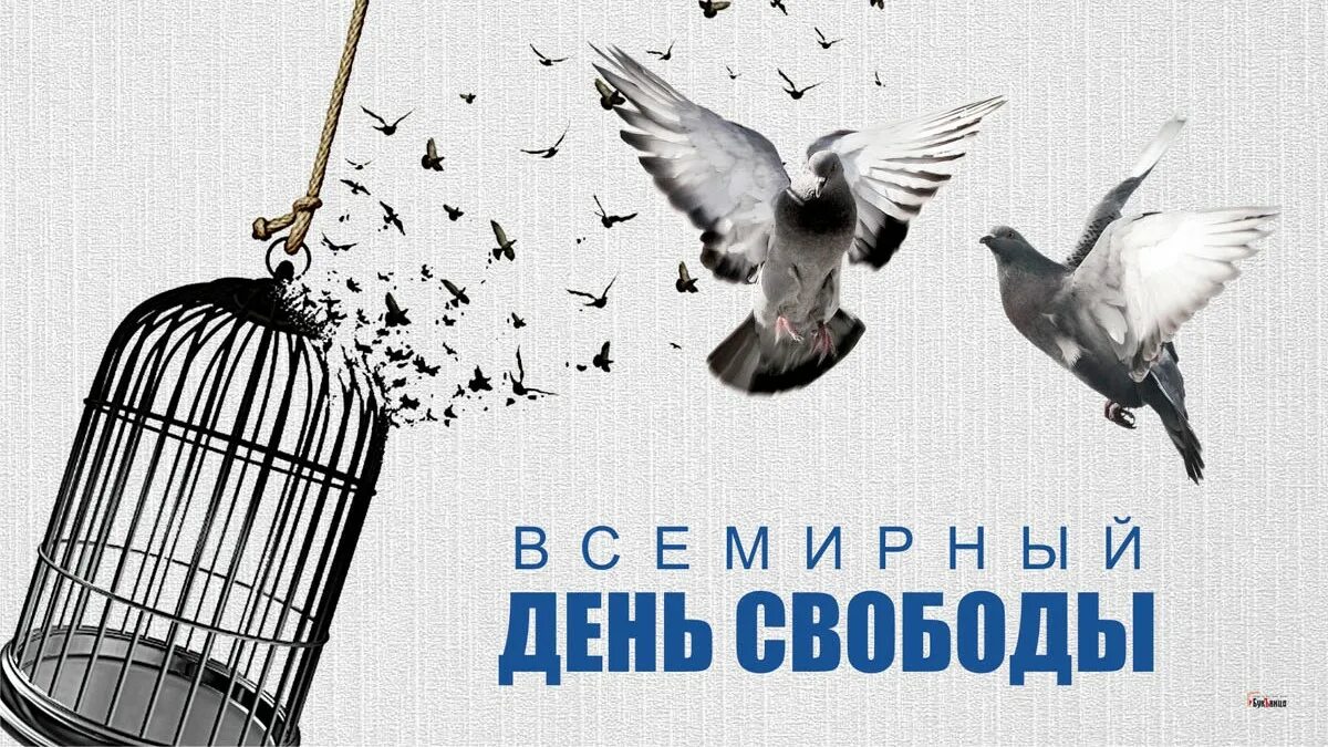 9 ноября картинки