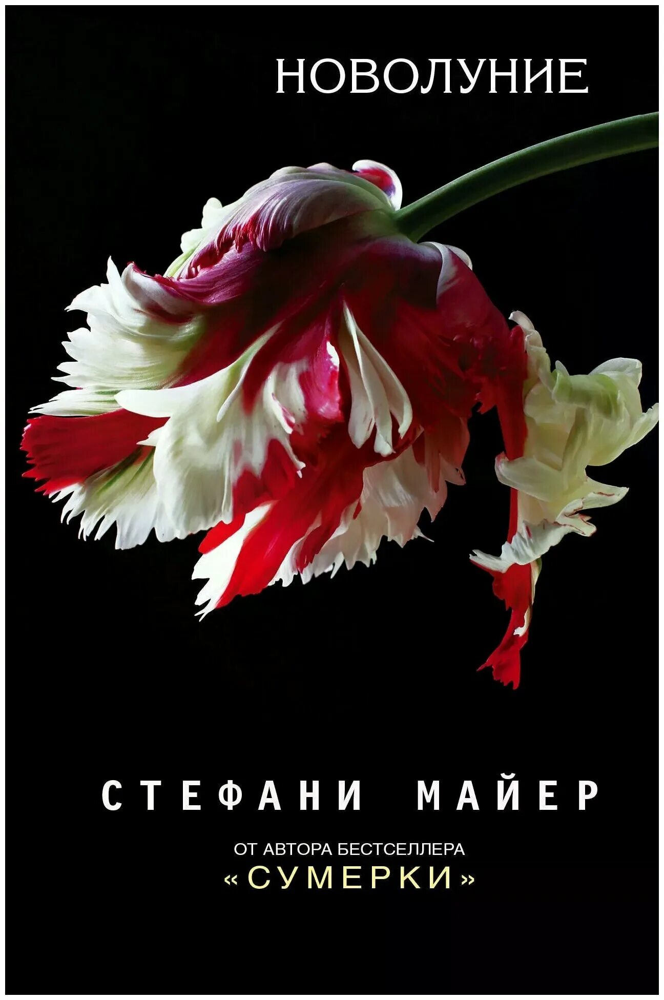 Новолуние книга майер