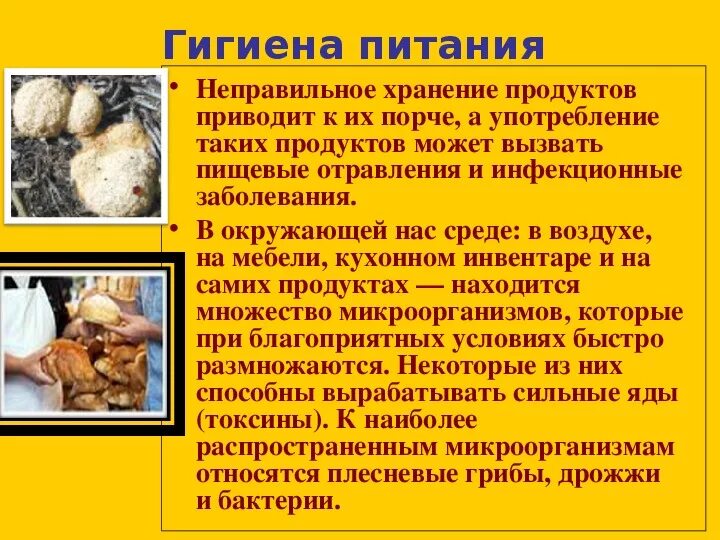 Грибы вызывающие порчу продуктов питания. Гигиена пищи. К чему приводит гигиена. Заболевания при неправильном питании. Заболевания при неправильной гигиене.