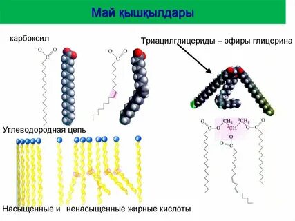 Карбоксил