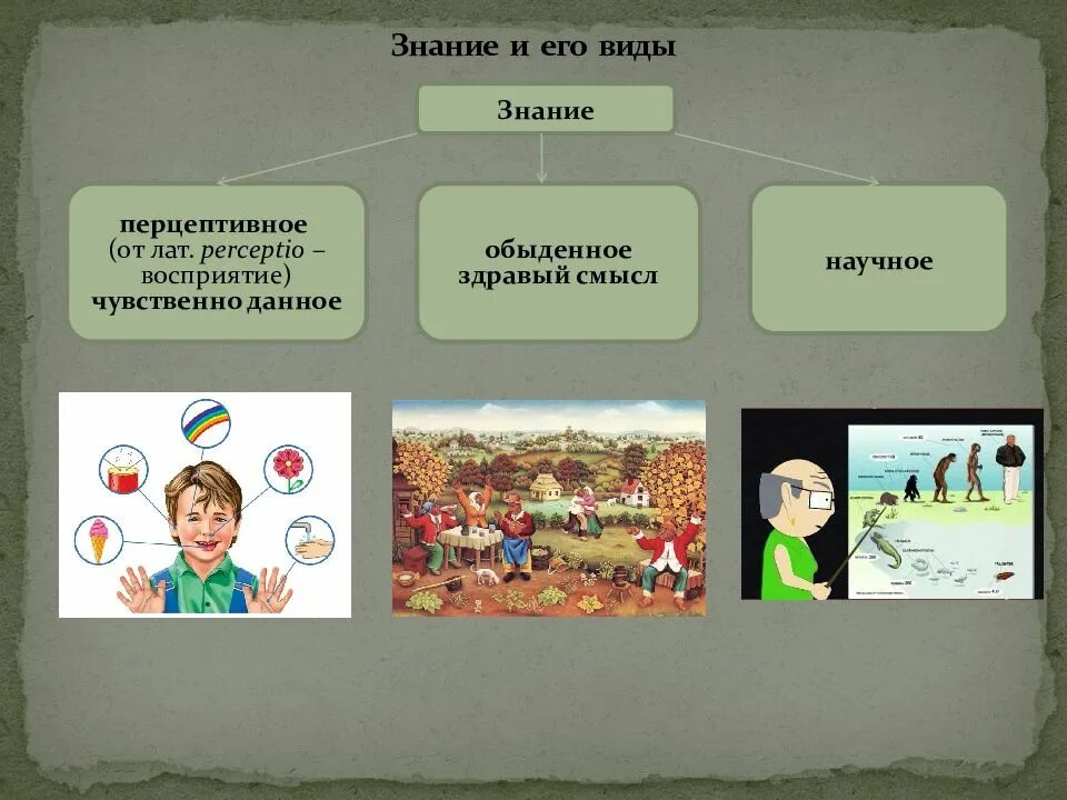 Уроки познание. Знание и его виды. Перцептивное знание в философии это. Обыденное восприятие это. Перцептивное обыденное научное.