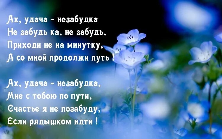 Незабудка со словами. Стихи про незабудки. Стихи про незабудки короткие и красивые. Красивые стихи о незабудках. Незабудки красивые слова.