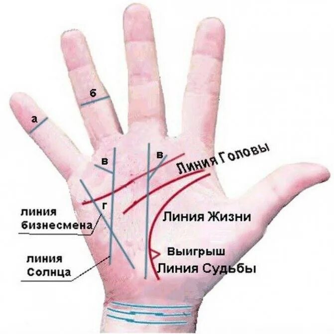 Как определить свою судьбу. Линии на ладони. Название линий на руке. Обозначение линий на ладони. Хиромантия по руке.