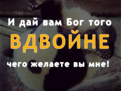 Не даи вам бог