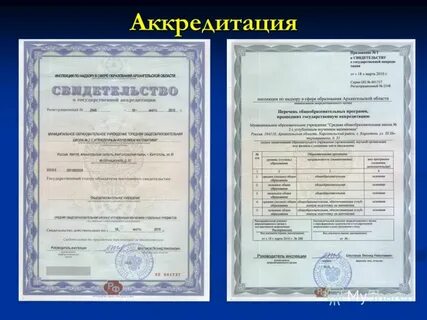 Категория лицензии