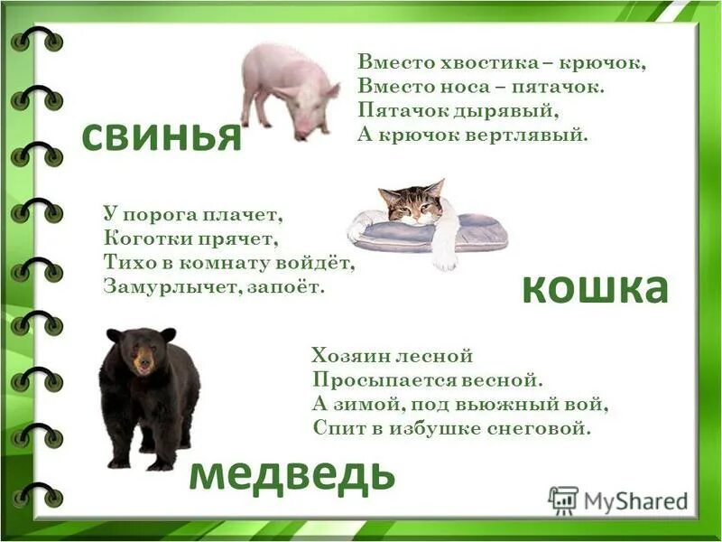 вместо носа пятачок вместо хвостика крючок ответ