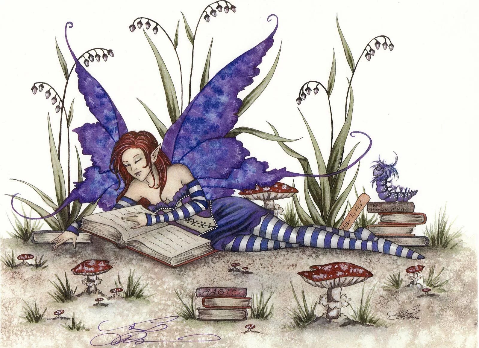 Fairy reader