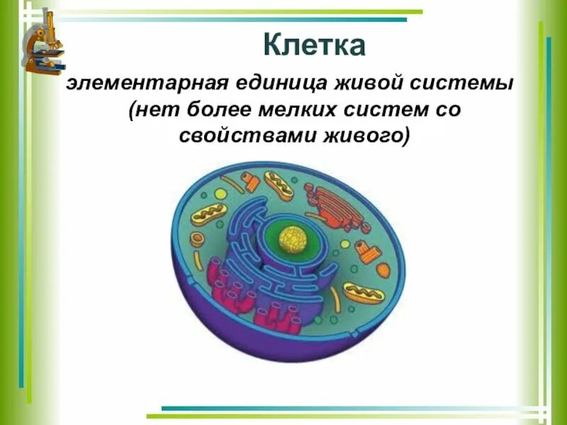 Значение живой клетки. Клетка элементарная единица живой системы. Клетка Живая система. Живые клетки 5 класс. Схема клетка Живая система.