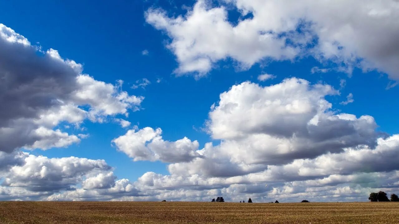Cloud field