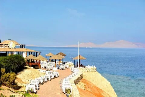 Domina oasis 5