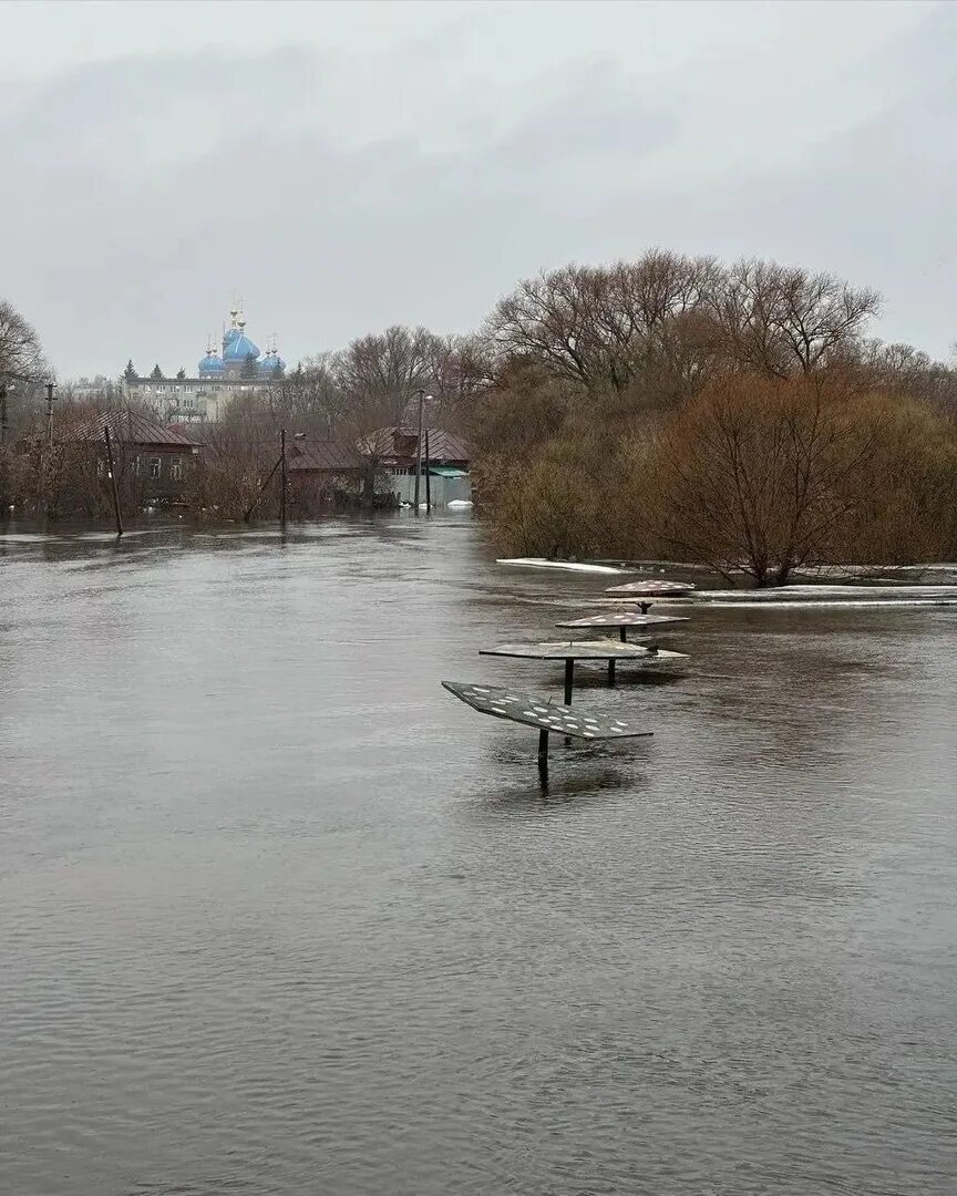 Медведица вышла из берегов