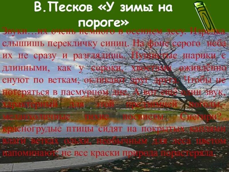 Стих дождливые дни. Пескова был осенний серенький день. Пескова был осенний серенький день. Пескова был осенний серенький день. Звуки их очень немного в этом осеннем лесу изредка.