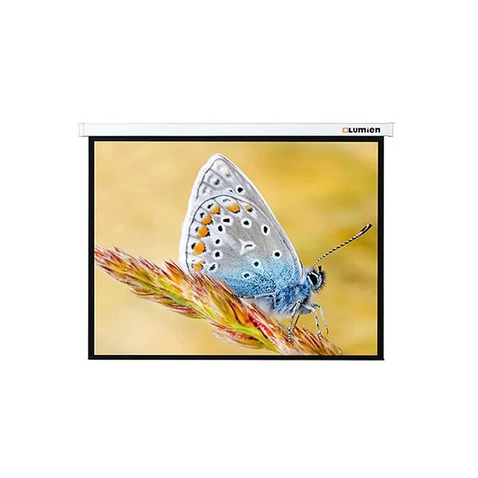 Экран lumien master. Экран с электроприводом Lumien Master Control 244x244 см. Экран LMC-100115 Lumien. Экран Lumien LMC-100111. Экран Lumien LMC-100118.