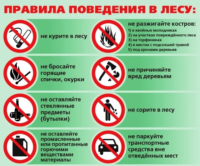 Безопасность на отдыхе на природе