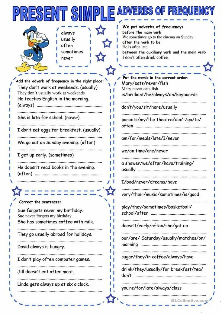 Adverbs of frequency exercises