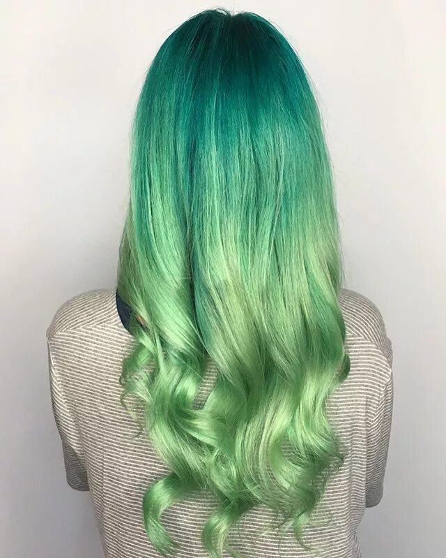 цвет волос жаба. цвет волос жаба. лягушка австралийская квакша. цвет волос жаба. цветные волосы.