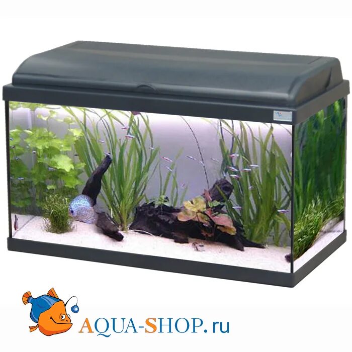 Aquatlantis Aquadream. Аквариум Aquatlantis Aquadream. Аквариум Aquatlantis 370 литров. Фильтр Aquatlantis Mini BIOBOX 1.