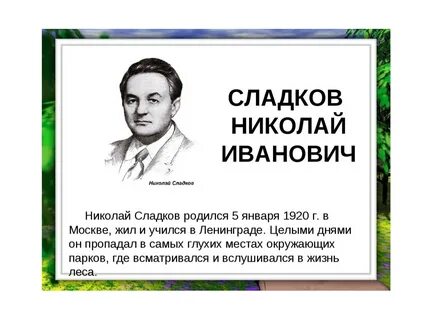 Н сладков