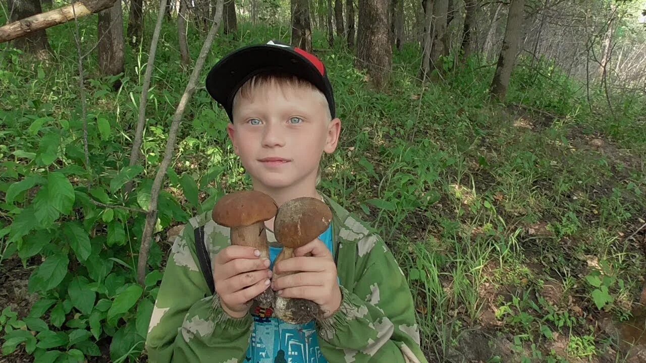 Нормальный мужик грибы. Грибы нормальный мужик последнее видео. Какие грибы сейчас пошли. Грибы нормальный мужик последнее видео. Грибы нормальный мужик последнее видео.