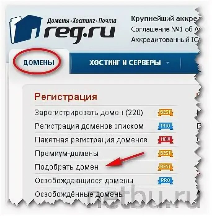 Регистраторы .ru по количеству доменов. Домен ру регистратор