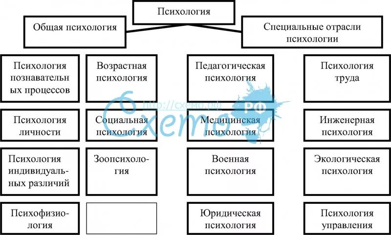 Специальные отрасли психологии схема. Основные отрасли психологии схема. Отрасли психологии схема. Отрасли психологии схема. Схема структуры психологии как науки.