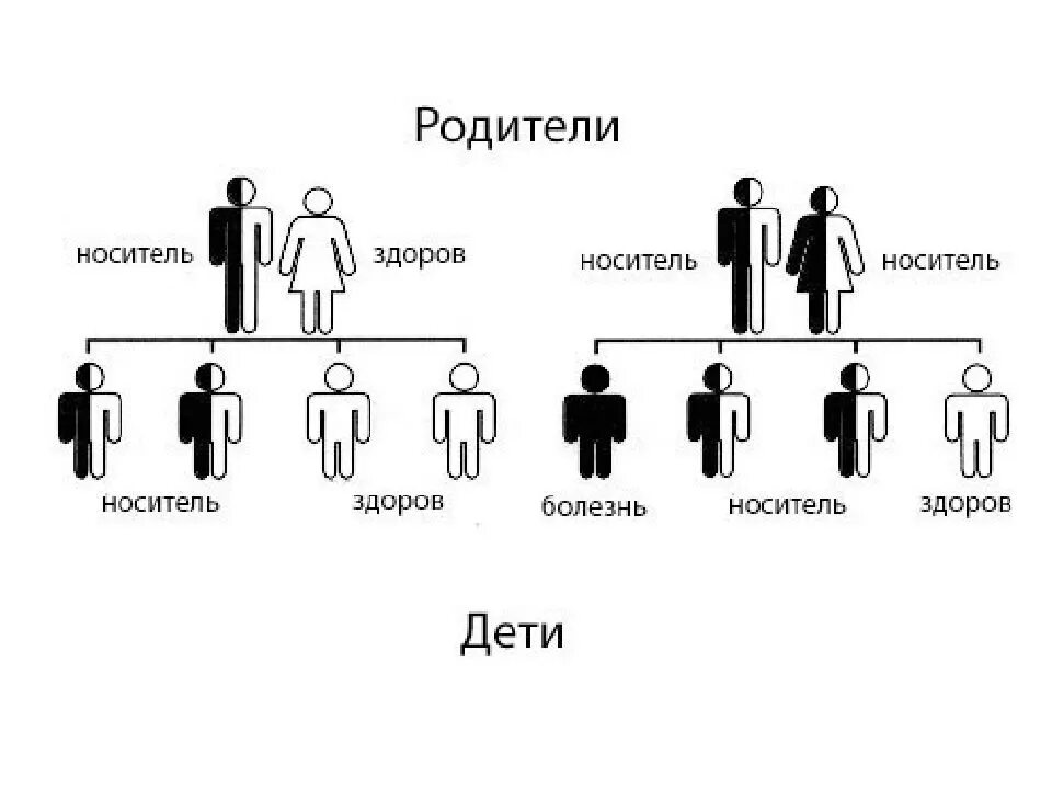 Они передавали по наследству